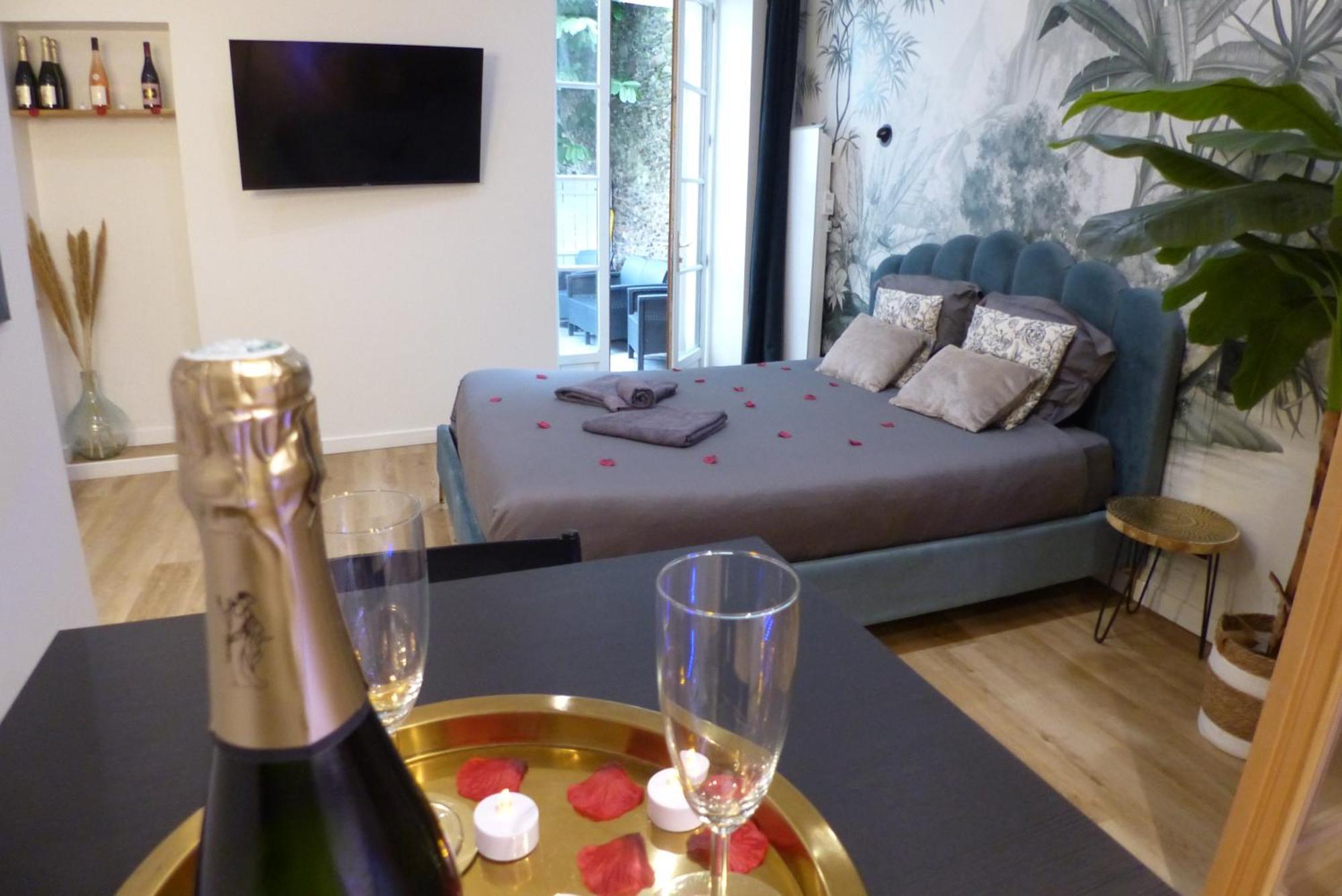 Appartement Balneotherapie Et Sauna Hyper Centre Нант Экстерьер фото